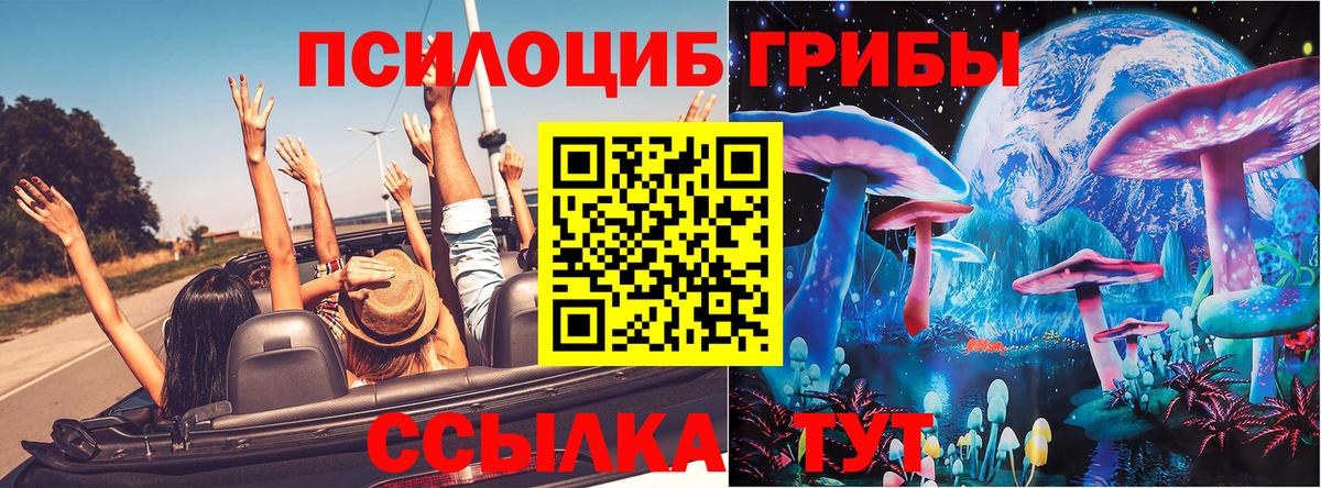 Кизилюрт  Псилоцибиновые грибы прущие грибы  Вход с VPN 